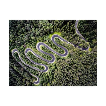 PhotoINC Studio 'Road Winding' Canvas Art,24x32